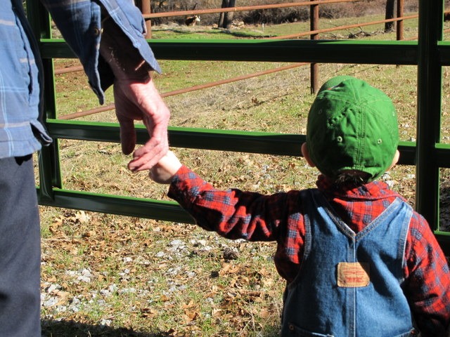 holding great papa's hand holding great papa's hand