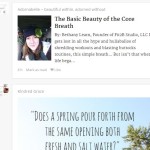 Bloglovin View