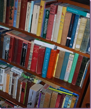 The Evolution of Our Bookshelves