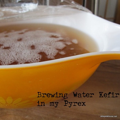 Water Kefir Brewing in a Pyrex Bowl