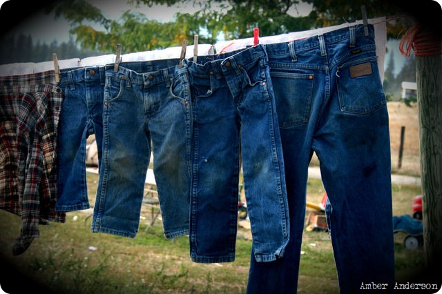 jeans photo by Amber Anderson