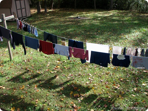 chantelclothesline