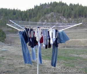 Temporary clothesline best sale