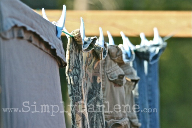 clothesline boys SD