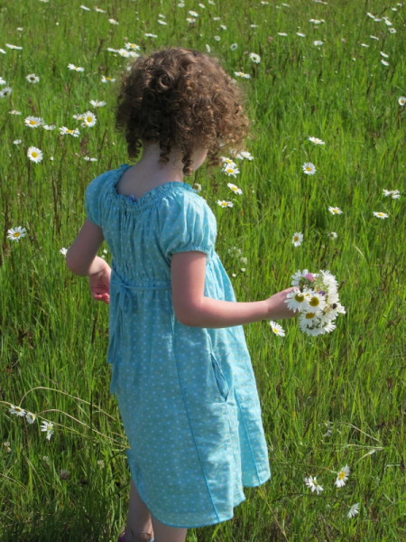 picking daisies