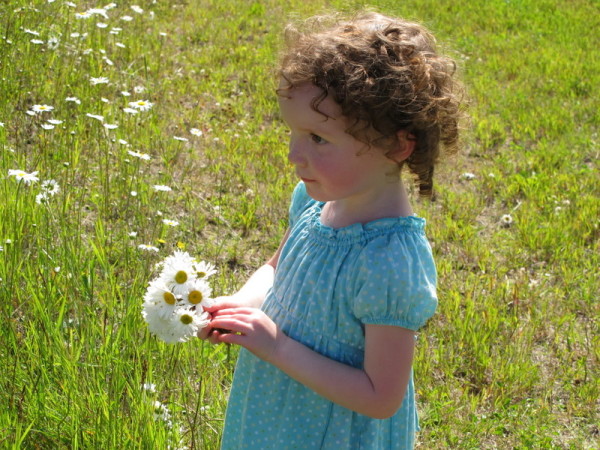 daisies and curls