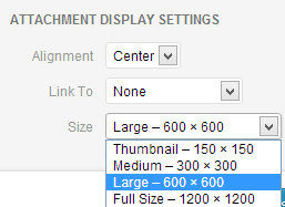 Media Size Options