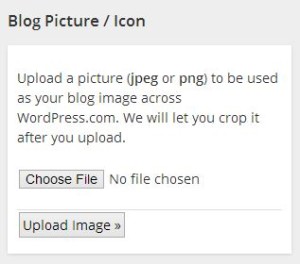 WordPress.com Blog Picture.Icon