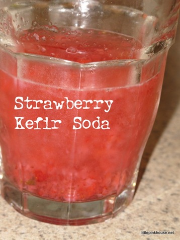 Probiotic Kefir Soda