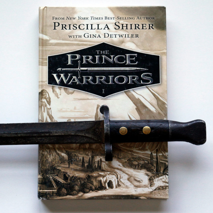 The Prince Warriors by Priscilla Shirer